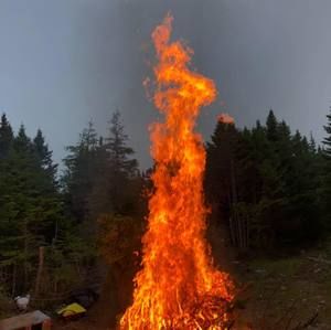 Meet your Posher, Ethan